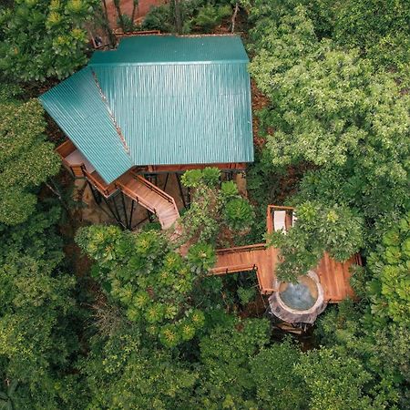 Chachagua Rainforest Hotel & Hot Springs La Fortuna Exteriör bild