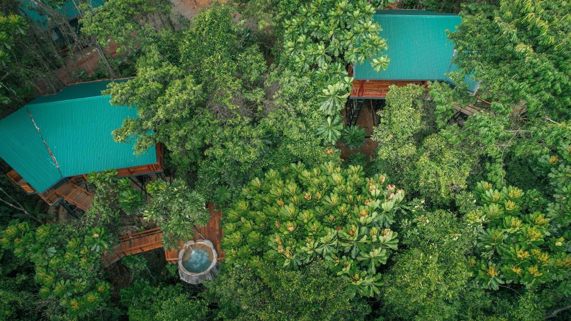 Chachagua Rainforest Hotel & Hot Springs La Fortuna Exteriör bild
