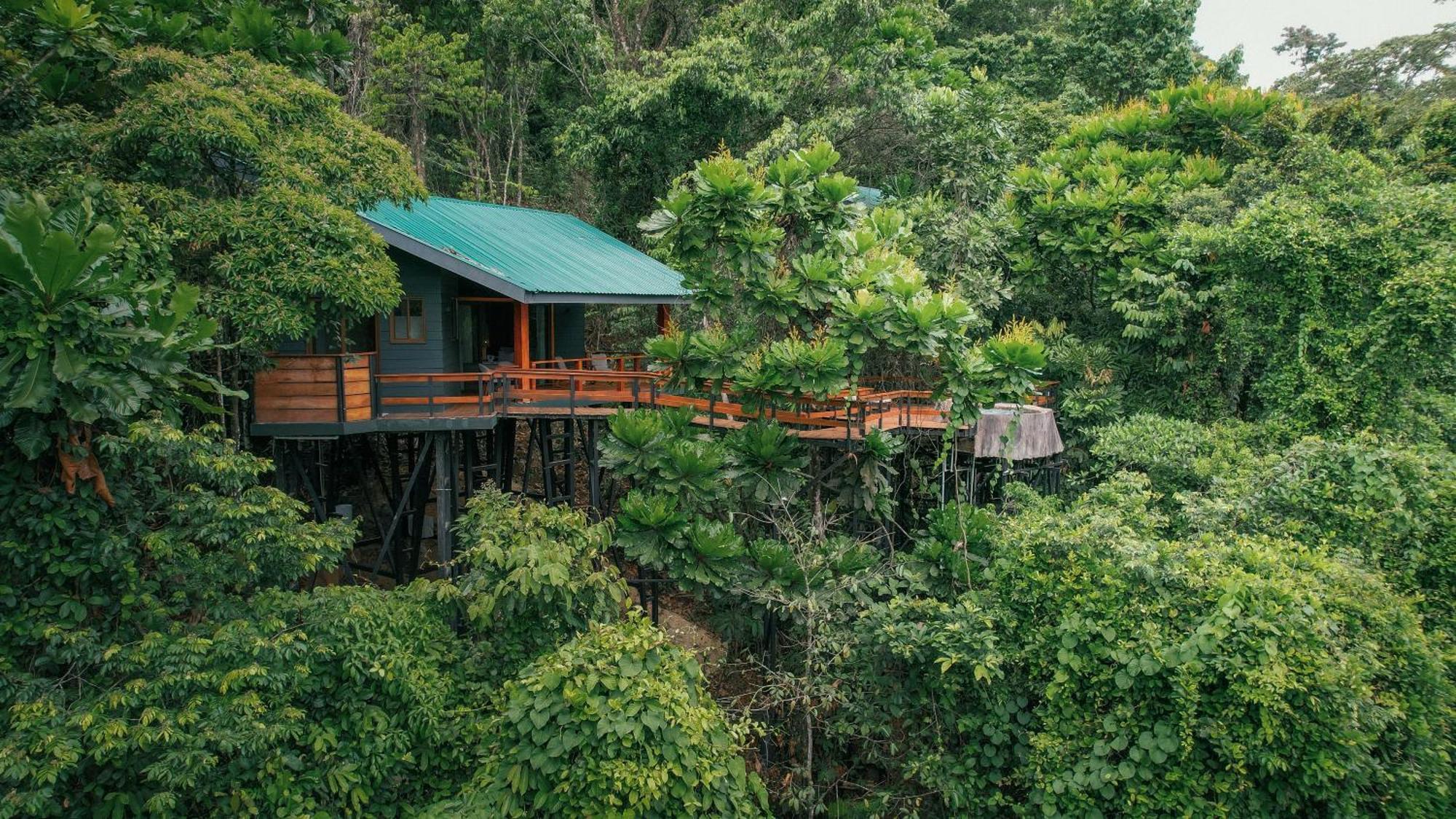 Chachagua Rainforest Hotel & Hot Springs La Fortuna Exteriör bild