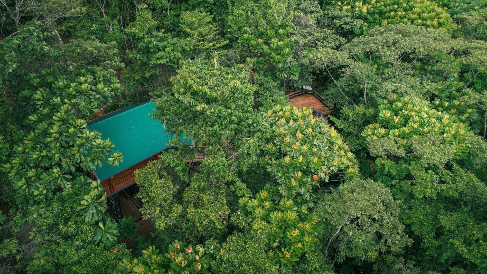Chachagua Rainforest Hotel & Hot Springs La Fortuna Exteriör bild